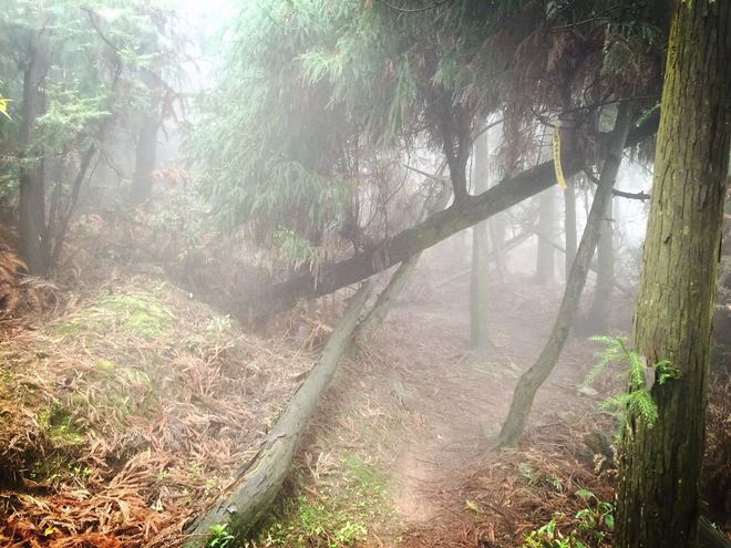 2016大罗山  首野季——一路荆棘，只为鲜花之地