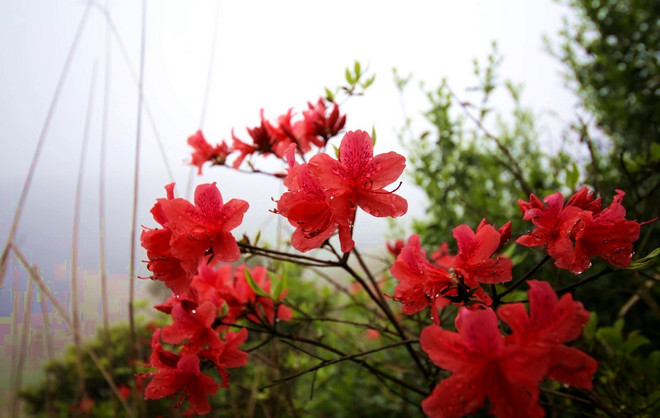 2016大罗山  首野季——一路荆棘，只为鲜花之地