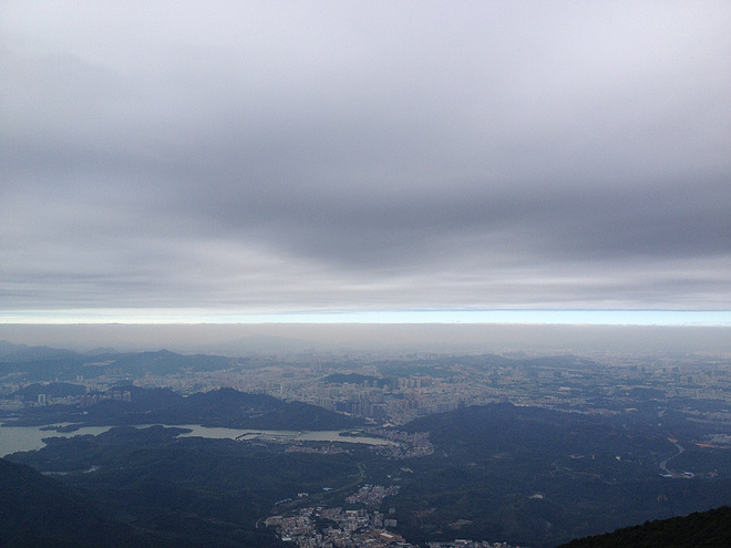 UTSZ100_首野之路: 从梧桐到大鹏