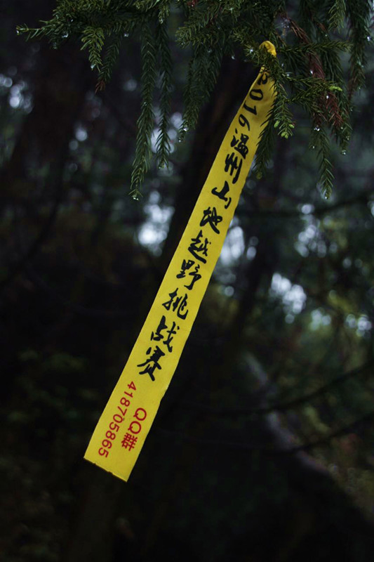 2016大罗山  首野季——一路荆棘，只为鲜花之地