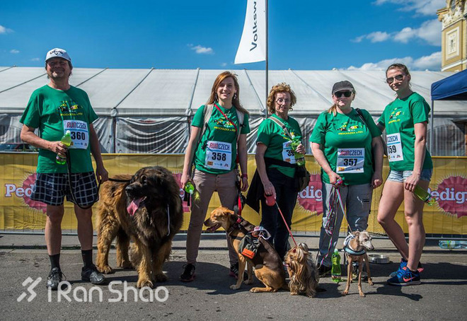 安全 | 不止生活会被“狗且”  跑步也有被咬的风险