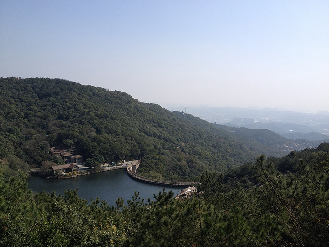 UTSZ100_首野之路: 从梧桐到大鹏