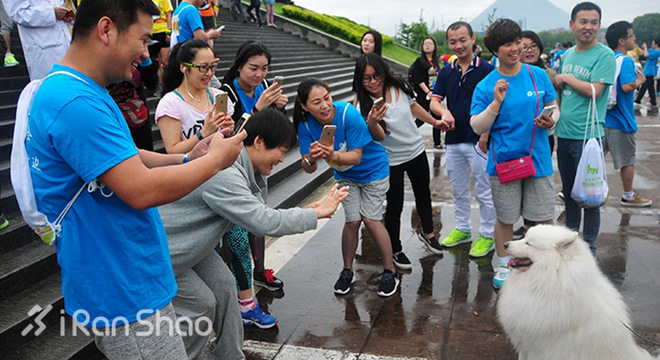 安全 | 不止生活会被“狗且”  跑步也有被咬的风险