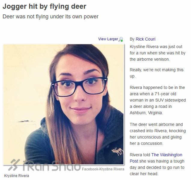 安全 | 不止生活会被“狗且”  跑步也有被咬的风险