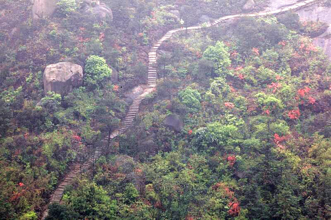 2016大罗山  首野季——一路荆棘，只为鲜花之地