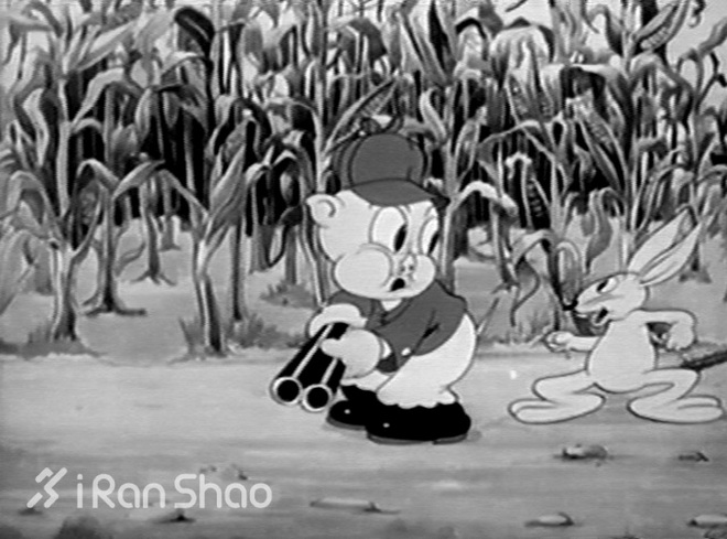 对于马拉松新手来说 紧跟着兔子跑就一定好吗？