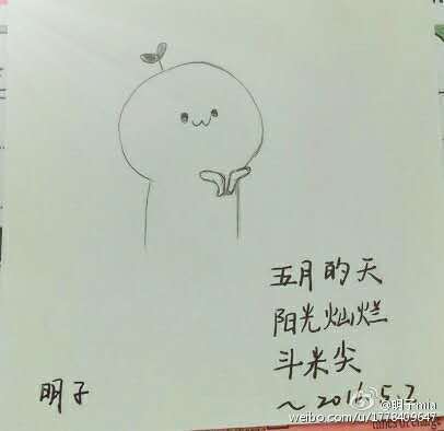 五月的天，阳光灿烂，斗米尖-记温岭斗米尖越野赛