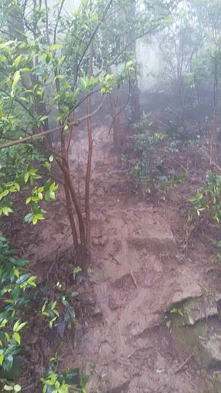 2016大罗山  首野季——一路荆棘，只为鲜花之地