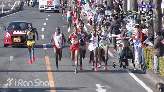 安全 | 不止生活会被“狗且”  跑步也有被咬的风险