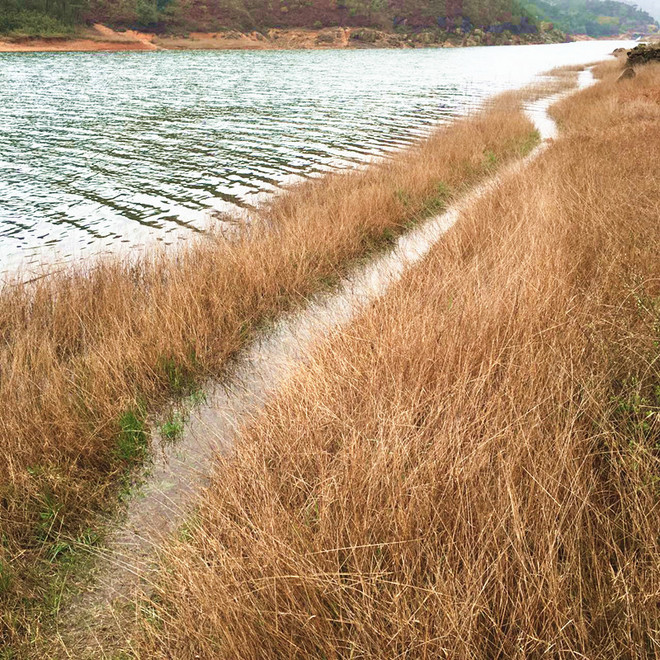 2016大罗山  首野季——一路荆棘，只为鲜花之地