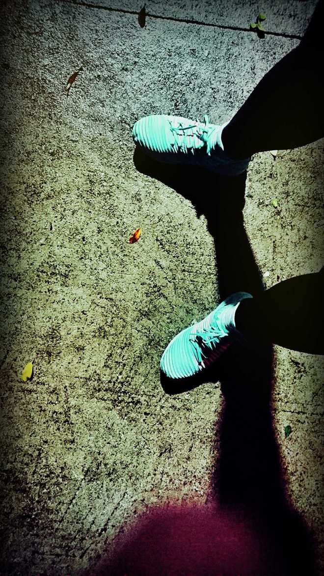 罗袜生尘 让脚掌在大地上划出轻柔华尔兹——NIKE Free Transform Flyknit训练鞋测评