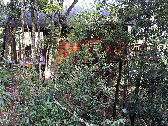 剩者为王—普洱100养成记