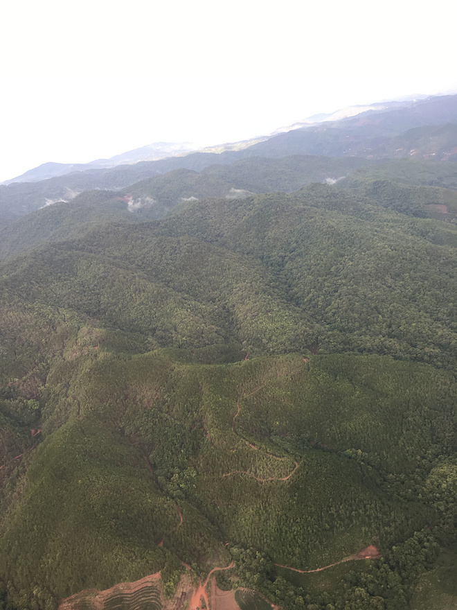 剩者为王—普洱100养成记