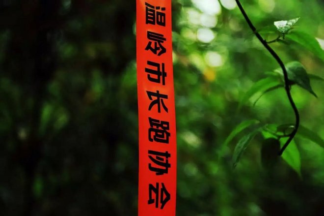 《不言比赛只言欢喜》-温岭斗米尖30km越野赛后小记~by晴天