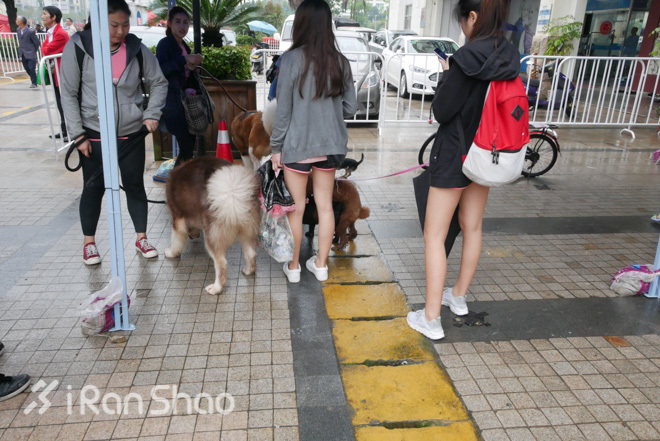 妹子总在风雨后 海峡两岸女子半程马拉松厦门开赛