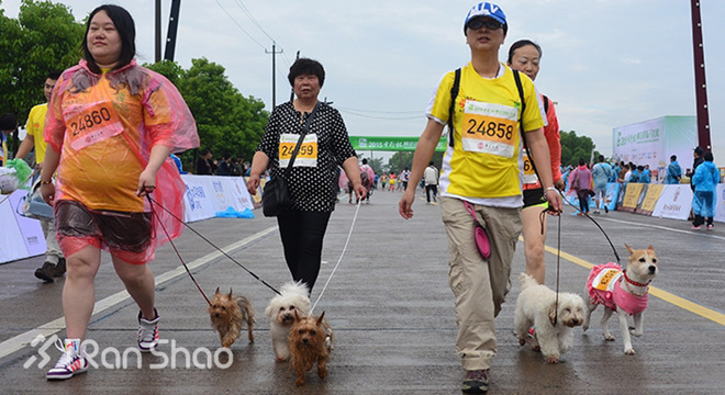 安全 | 不止生活会被“狗且”  跑步也有被咬的风险