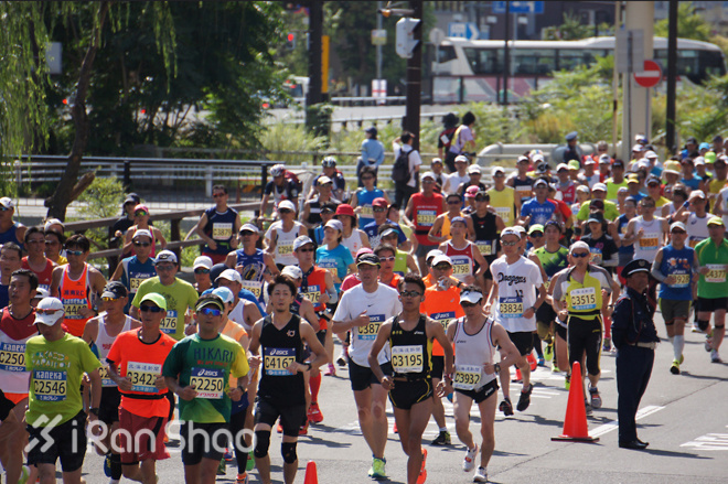 马拉松城纪 | 北海道马拉松：穿过北海道的夏天