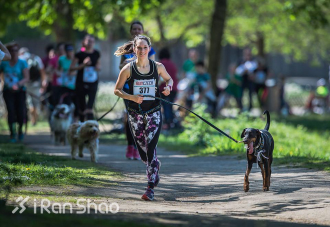 安全 | 不止生活会被“狗且”  跑步也有被咬的风险