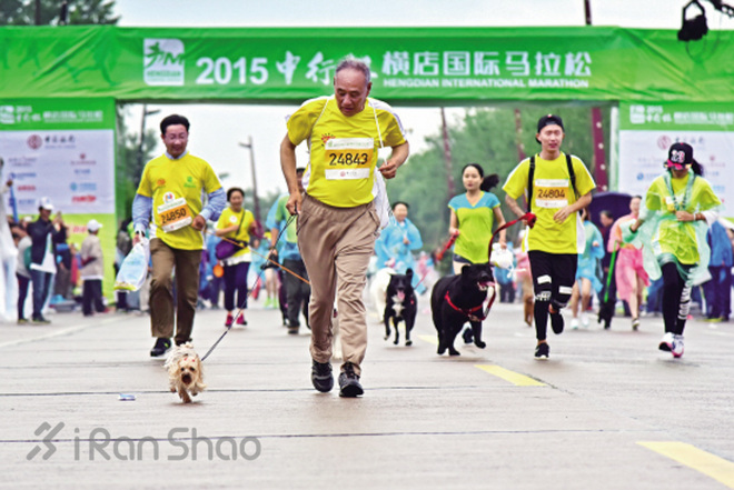 安全 | 不止生活会被“狗且”  跑步也有被咬的风险