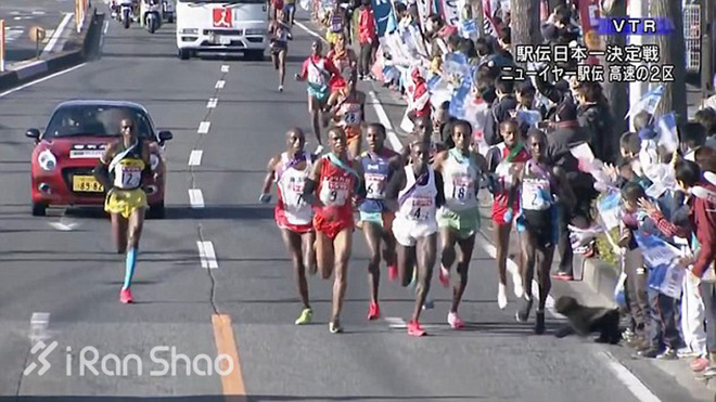 安全 | 不止生活会被“狗且”  跑步也有被咬的风险