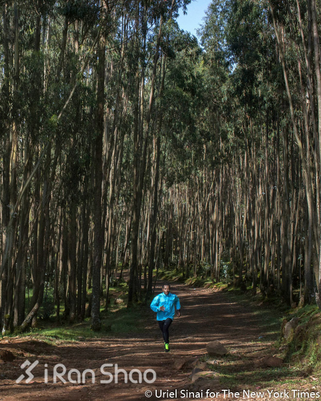 解读 | 马拉松Sub2： 一个科学家的终极跑步梦想（下）