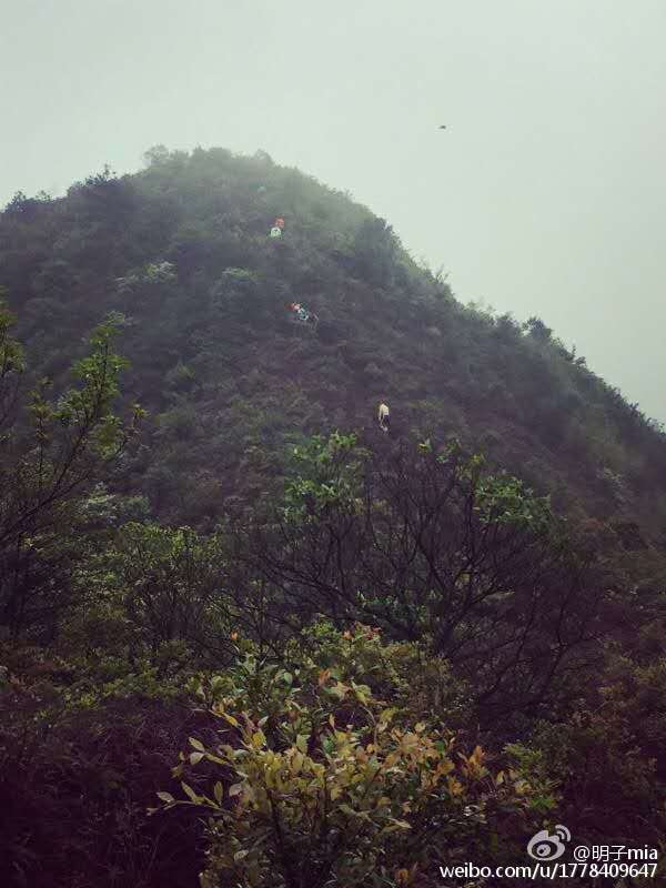 五月的天，阳光灿烂，斗米尖-记温岭斗米尖越野赛