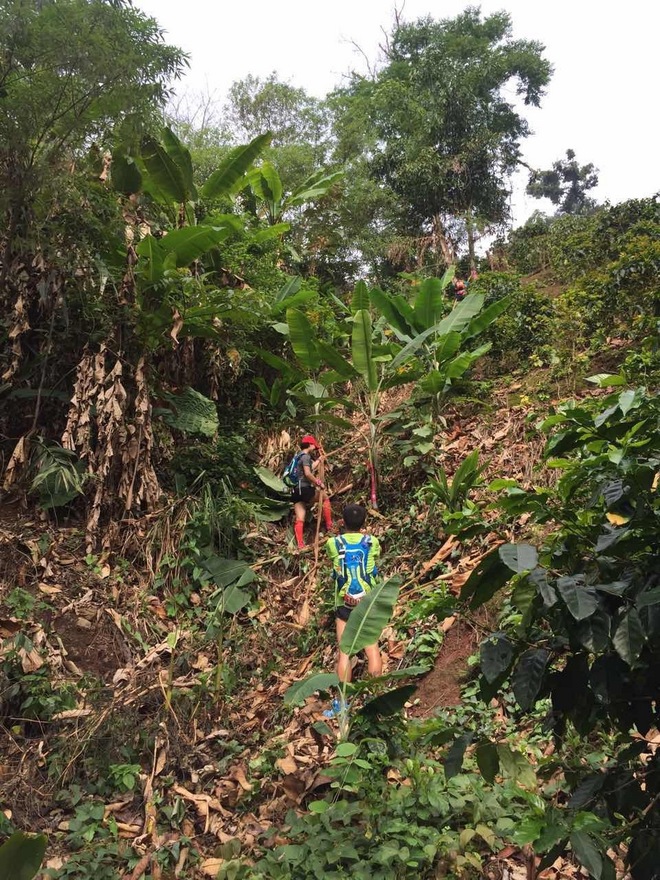 剩者为王—普洱100养成记