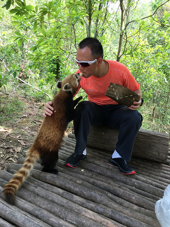 剩者为王—普洱100养成记