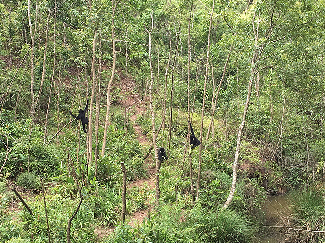 剩者为王—普洱100养成记