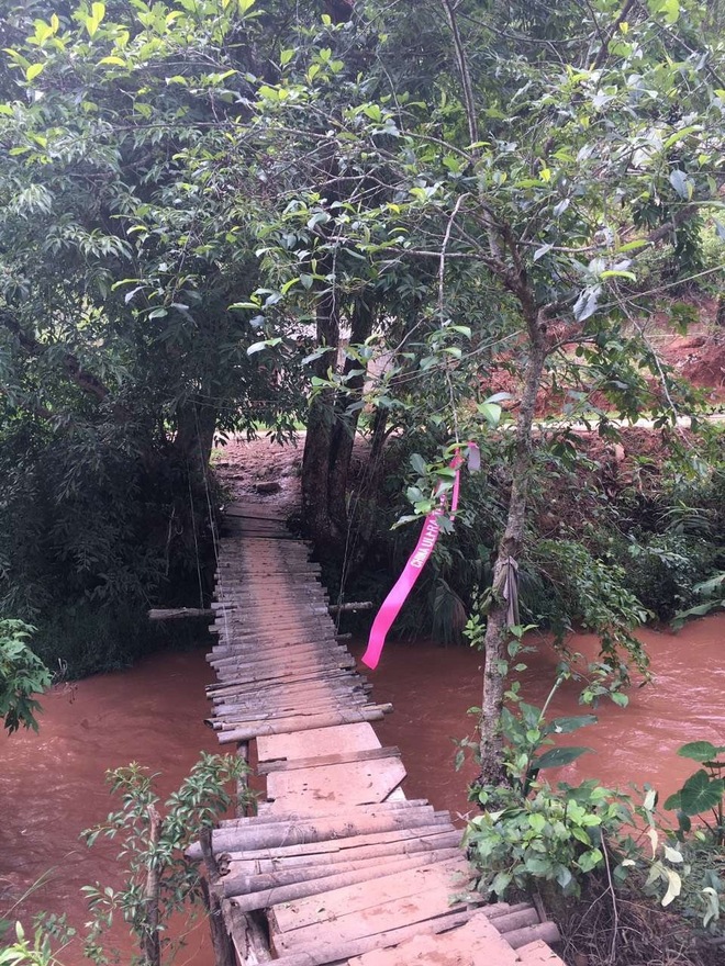 剩者为王—普洱100养成记