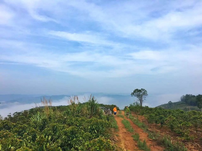 剩者为王—普洱100养成记