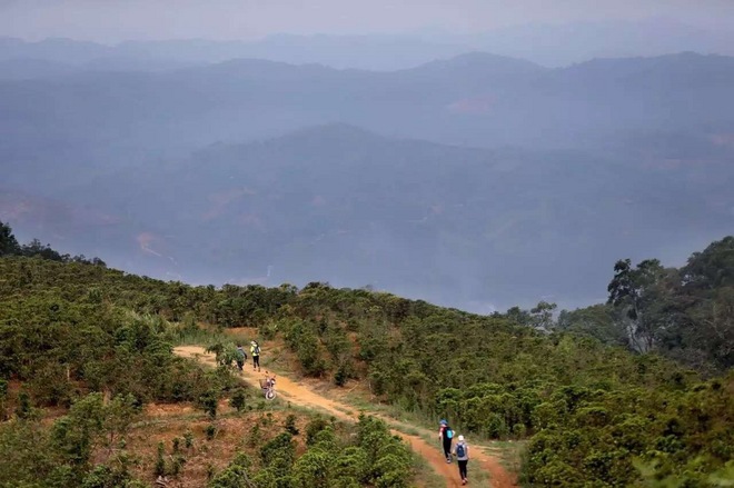 剩者为王—普洱100养成记