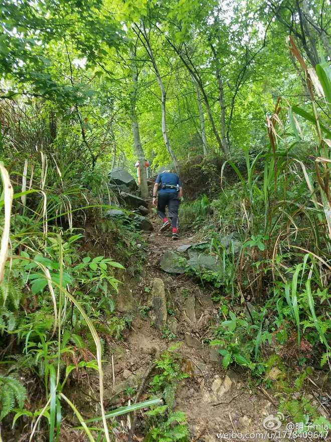 五月的天，阳光灿烂，斗米尖-记温岭斗米尖越野赛