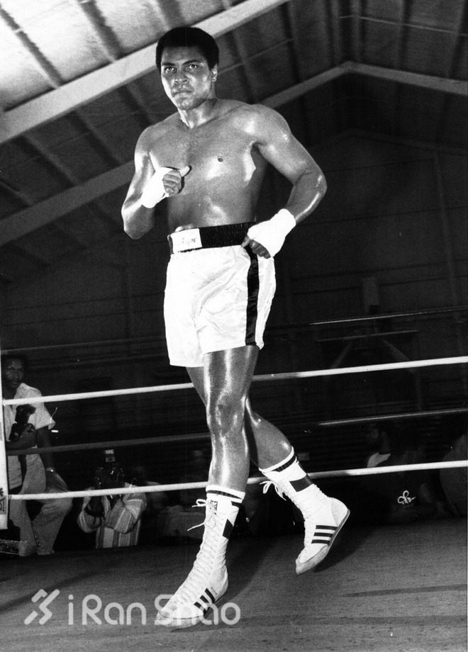 回顾│不止于伟大 拳王阿里的光辉岁月