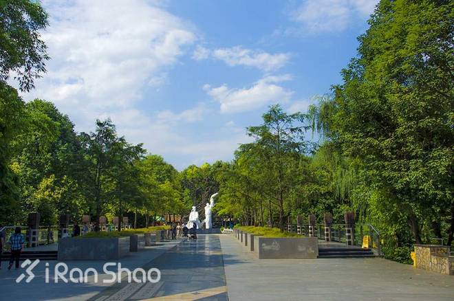 跑过成都的“那一坨”