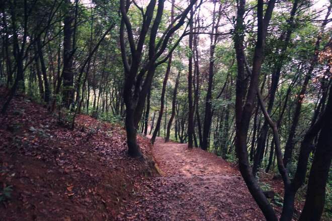 都说胖子才有安全感-Altra Olympus 2.0测评