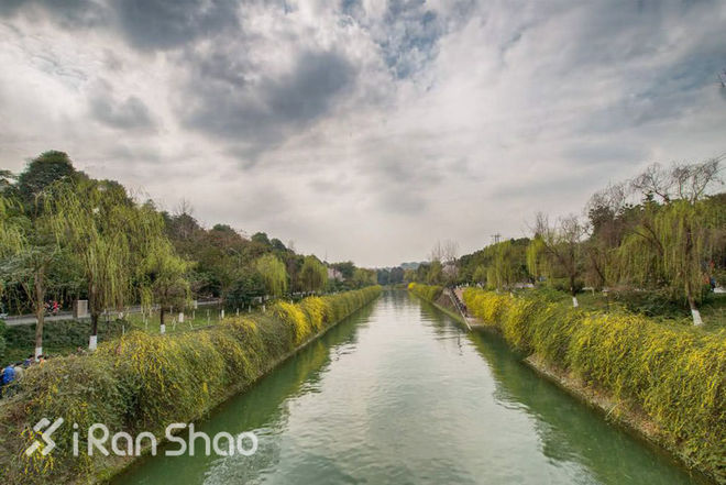 跑过成都的“那一坨”