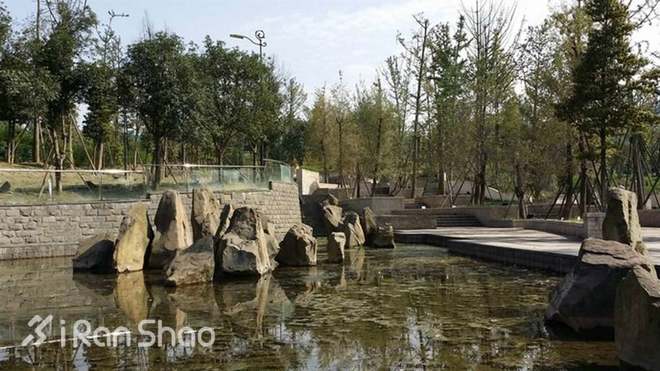 跑过成都的“那一坨”