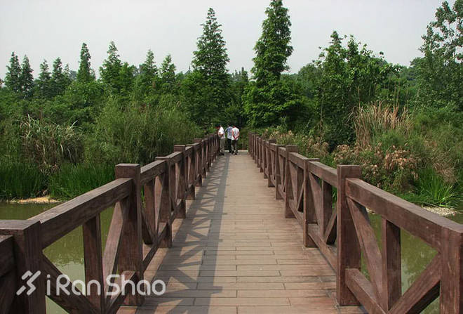 跑过成都的“那一坨”