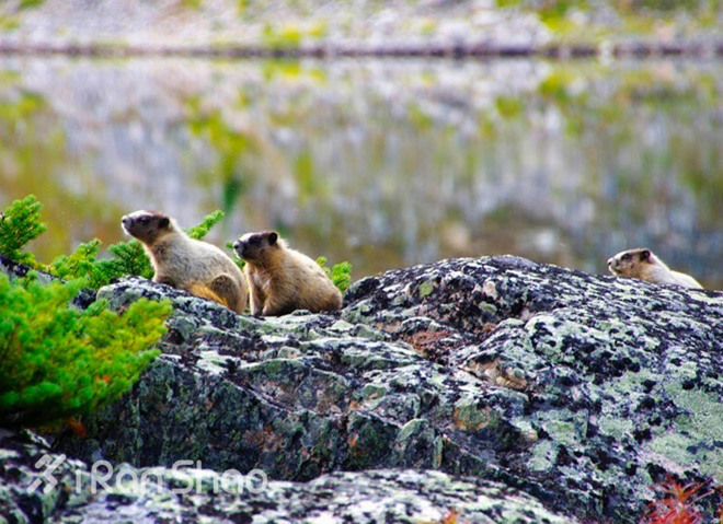 北美超马故事 | 绝色落基山