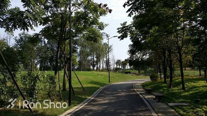 跑过成都的“那一坨”