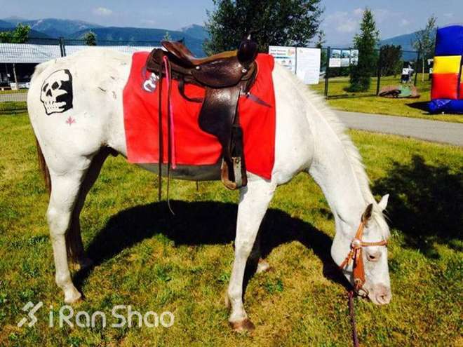 北美超马故事 | 绝色落基山