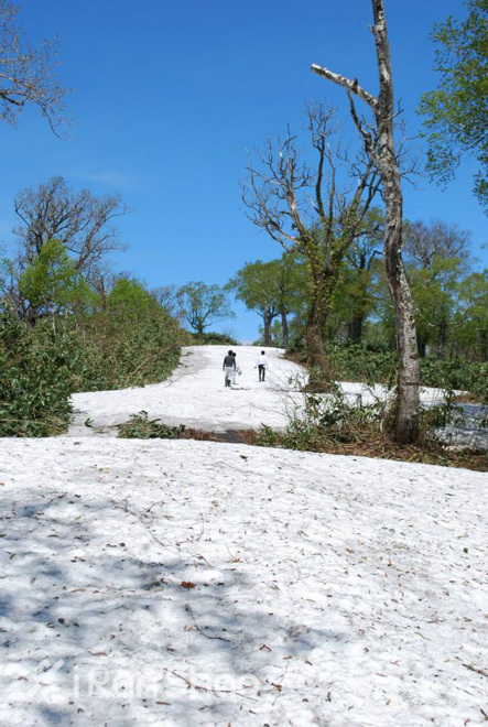 儿童节 | 那些有趣的儿童跑步比赛