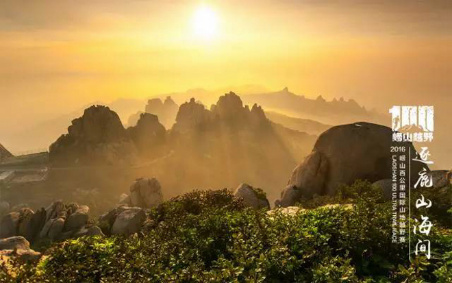 完美赛事圆满落幕 "零差评"崂山100的幕后英雄