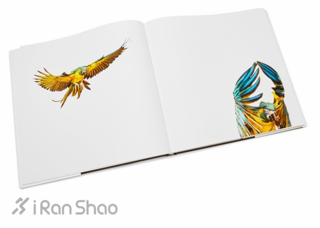 新品 | 里约奥运特别色彩设计 Nike发布Unlimited Colorway