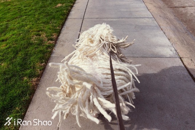 人物 | 扎克伯格比你聪明有钱，马拉松可能也比你跑得快