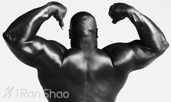 Bodies We Want | 对不起 石更了