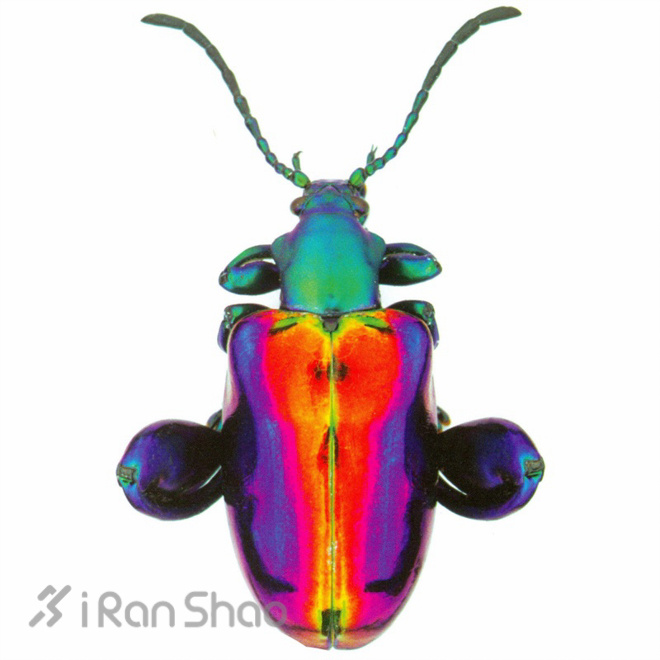 新品 | 里约奥运特别色彩设计 Nike发布Unlimited Colorway