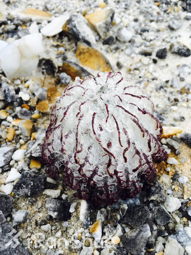 体验 | 从博尔德到大理 越野精神的升华之路