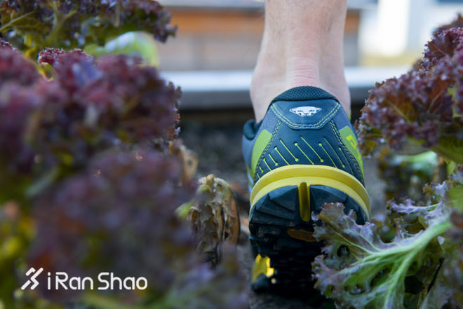 跑鞋 | 请注意豹出没 Dynafit MS FELINE VERTICAL首发评测